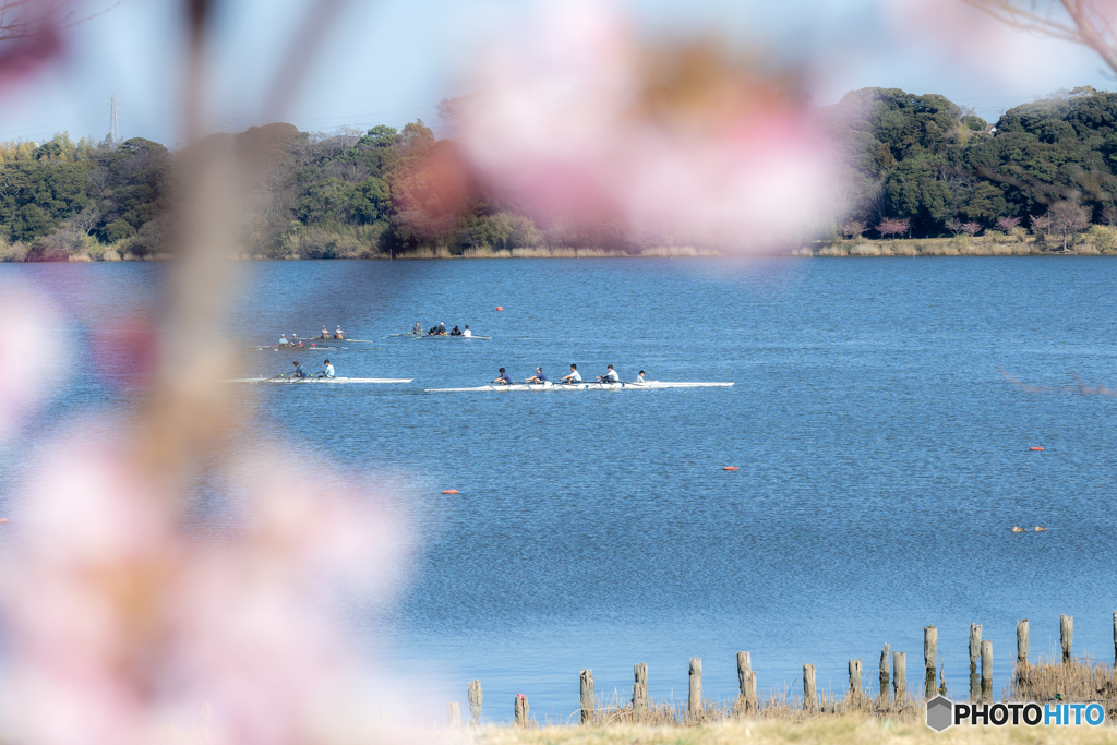 （浜松市佐鳴湖漕艇場）
