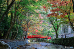 （小國神社の赤い橋）