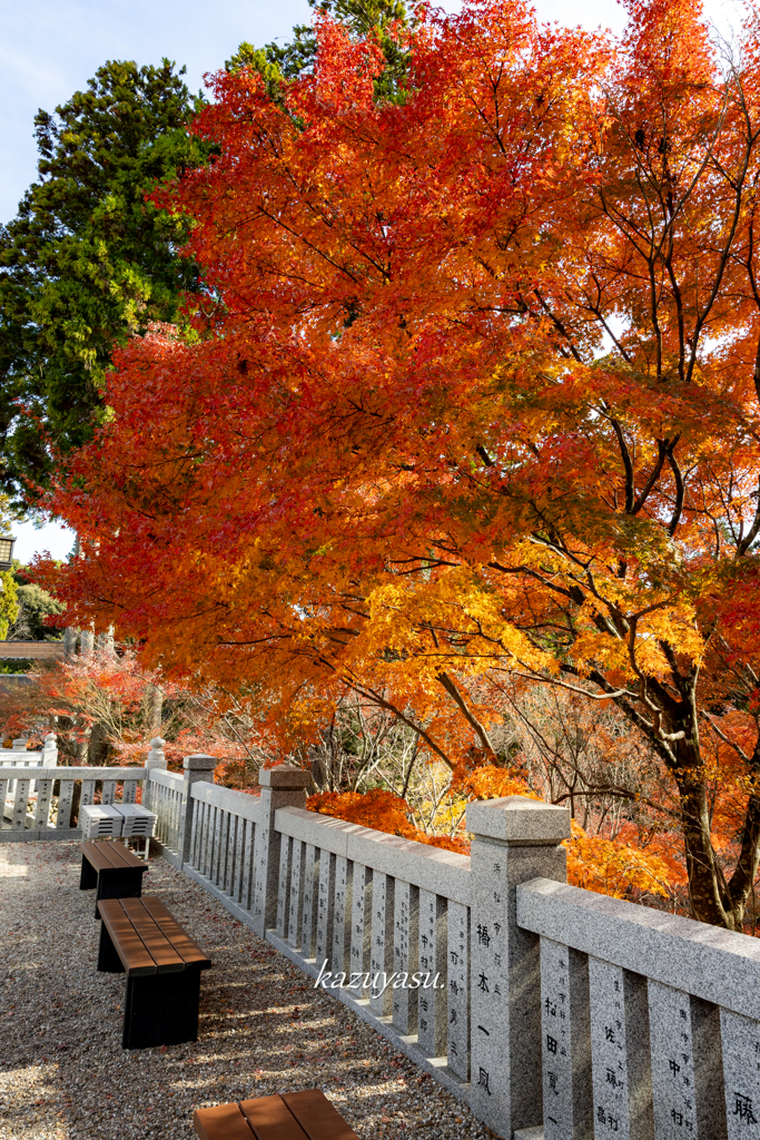 (なんとか間に合った(^-^;）