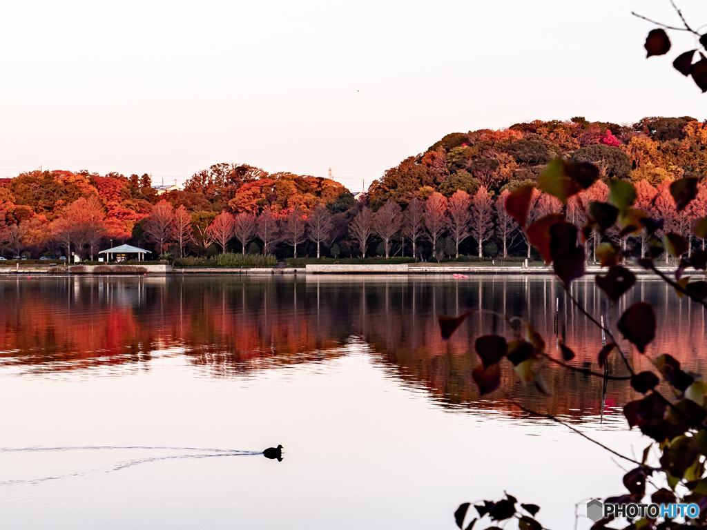 （佐鳴湖　朝の光）