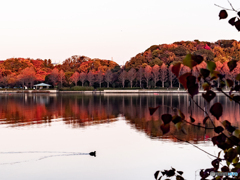 （佐鳴湖　朝の光）