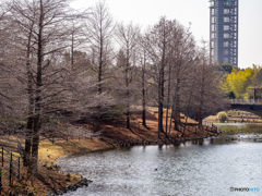 （浜名湖ガーデンパーク　冬）