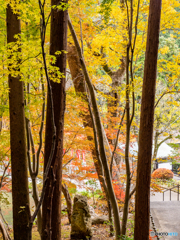 (法多山尊永寺）