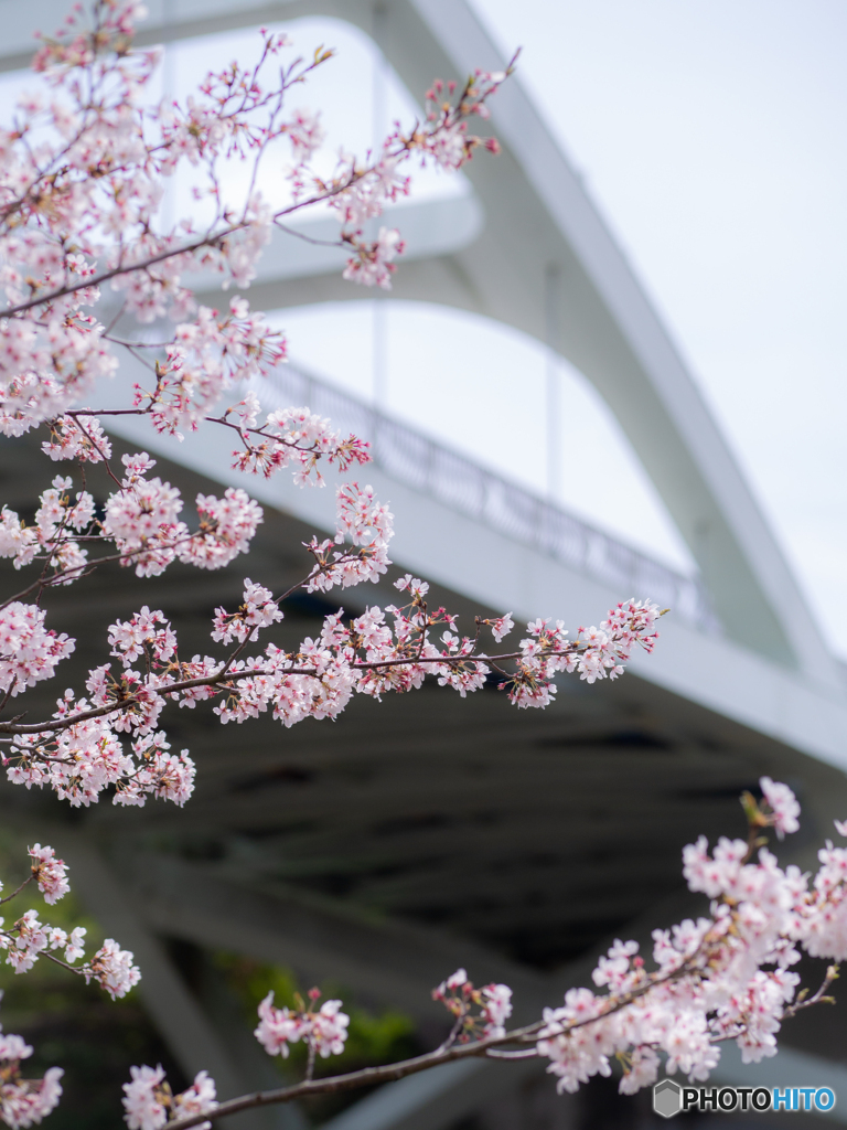 (大平大橋）