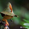 (snufkin)