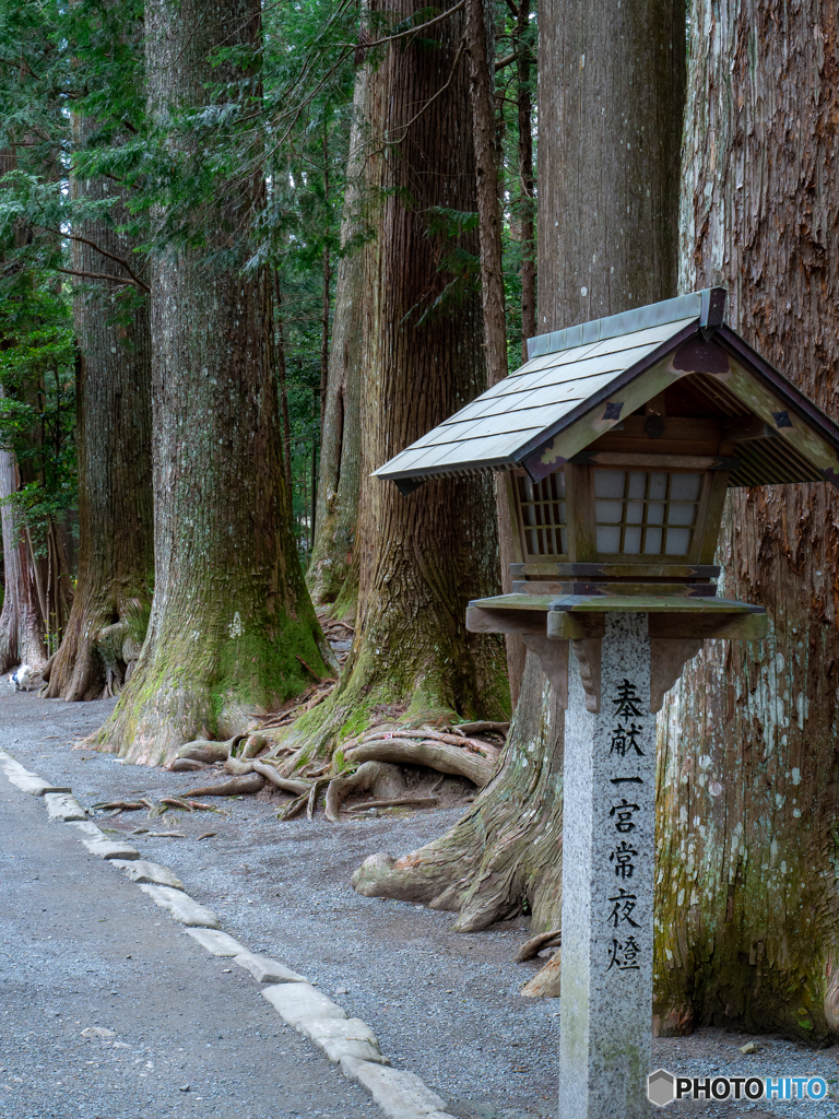 （小國神社）