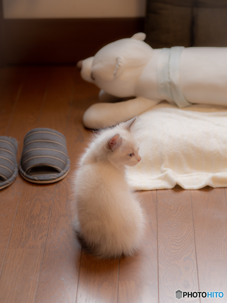 (こんなに小さかったのに）