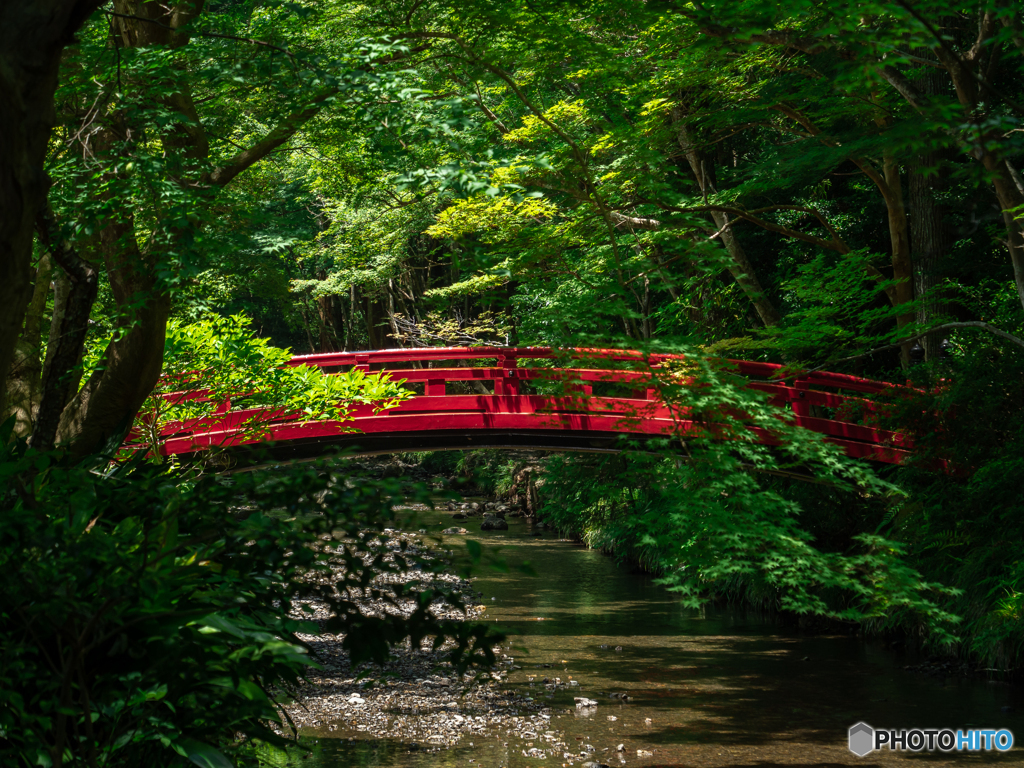 （小國神社の赤い橋）