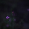 梅雨