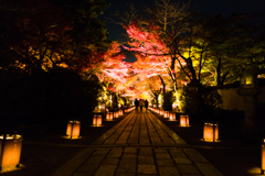 石山寺の紅葉