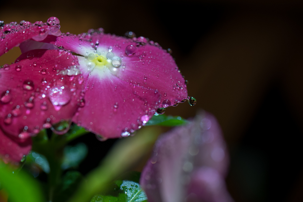 夜雨