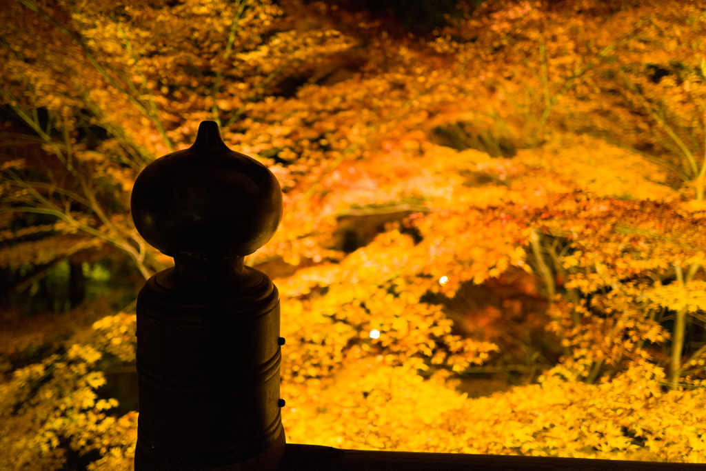 石山寺の紅葉