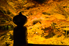石山寺の紅葉
