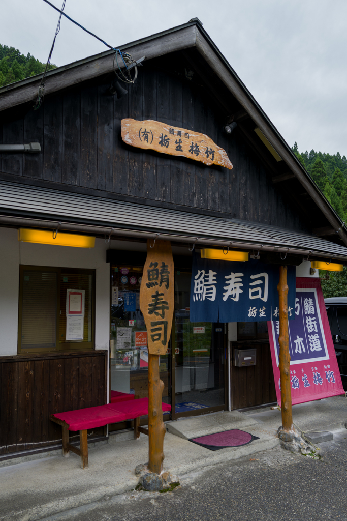 夕食も鯖寿司