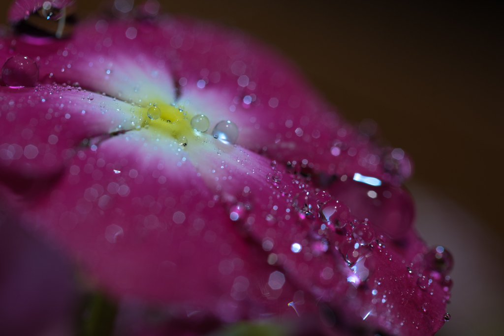 夜雨