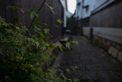 秋の近づき　見つけた