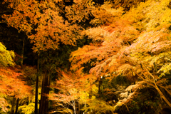 石山寺の紅葉