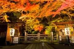 石山寺の紅葉