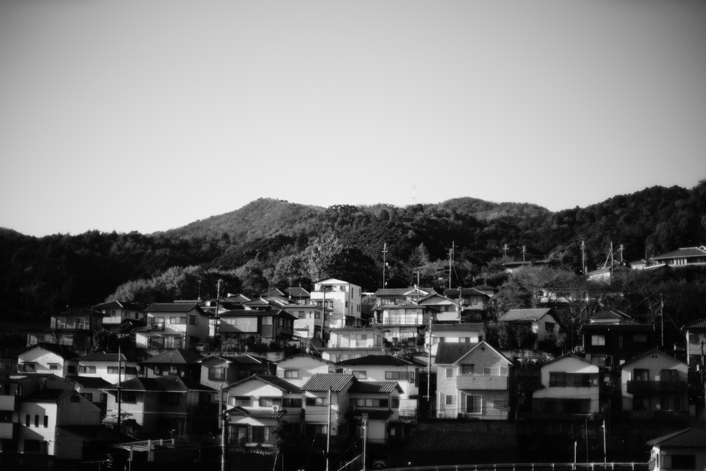 白い家