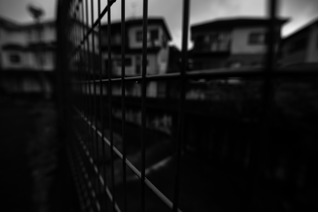 雨上りの朝