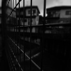 雨上りの朝