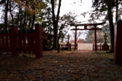 落ち葉と鳥居