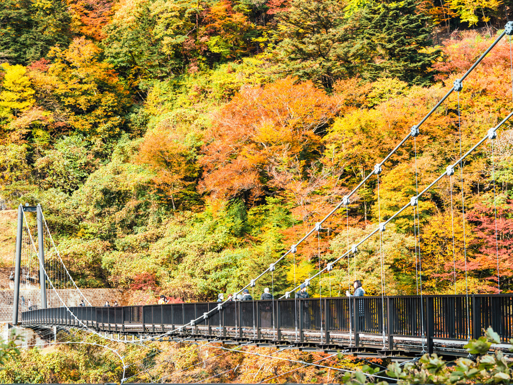 鬼怒盾岩大吊橋
