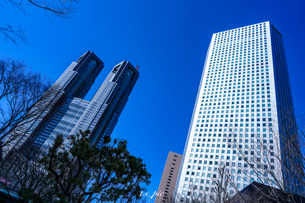 新宿
