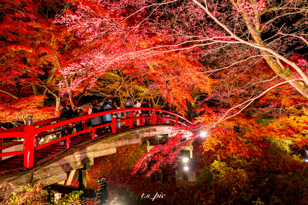 河鹿橋