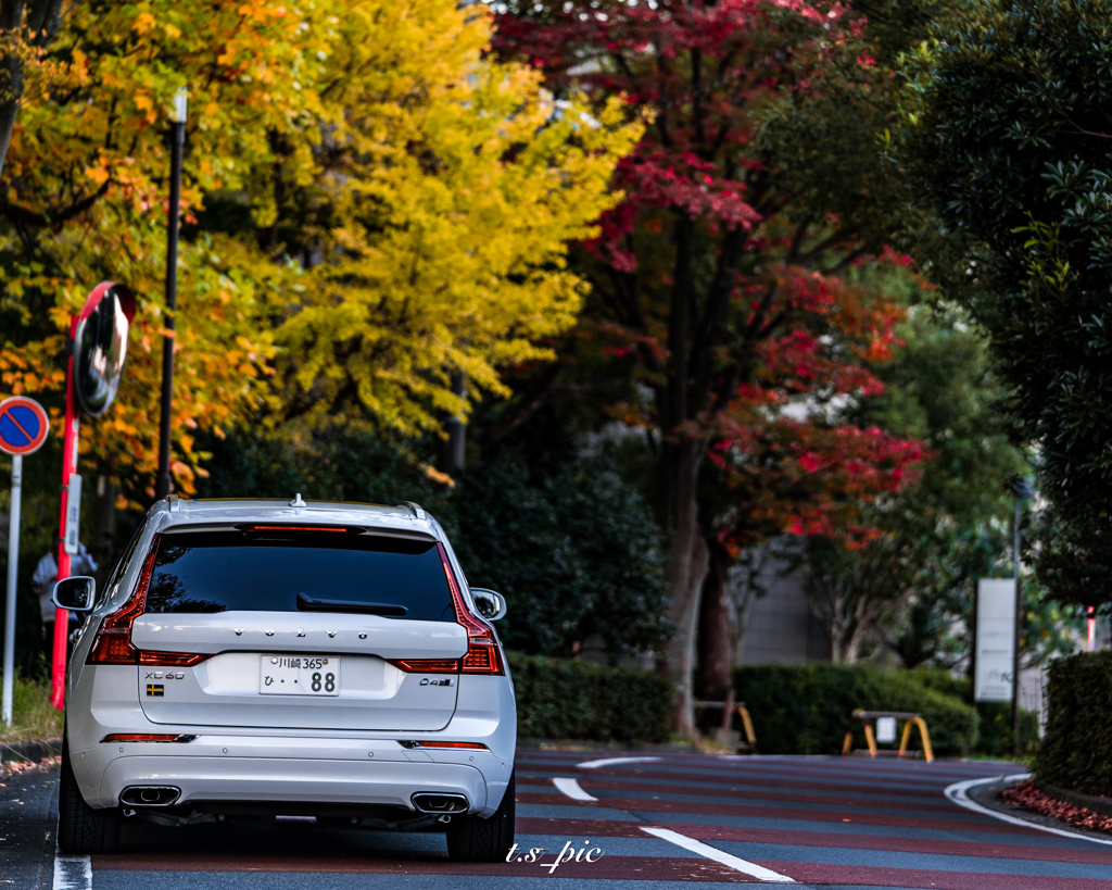 愛車と紅葉