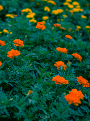 ハイアットリージェンシー前