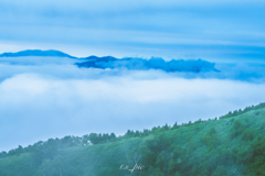 雲海