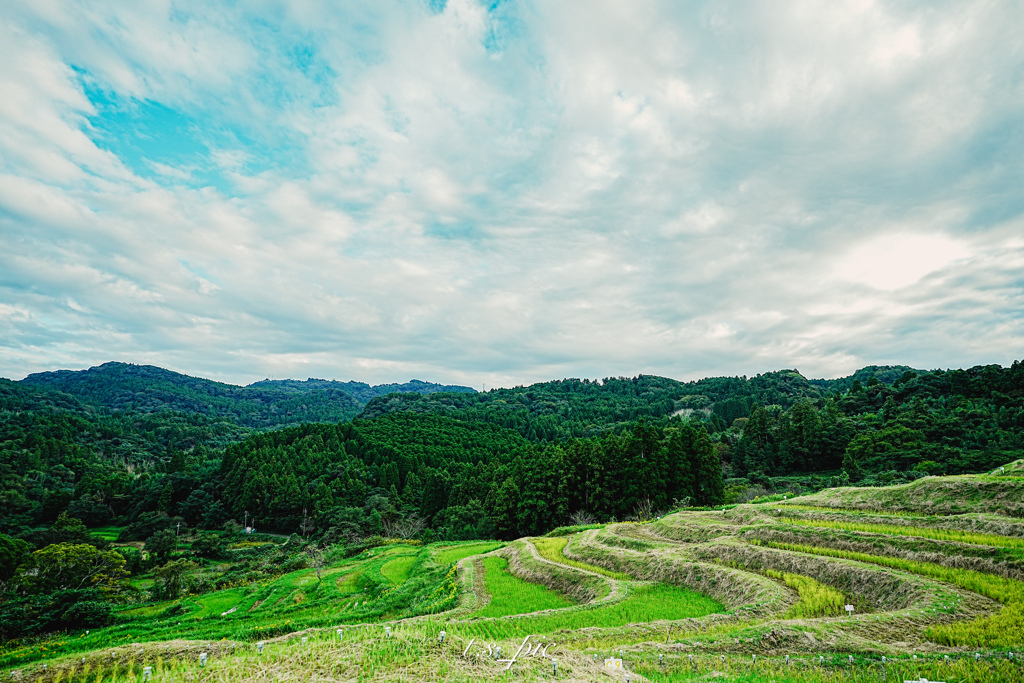 大山千枚田