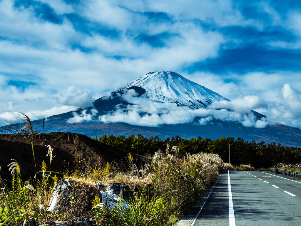 富士山