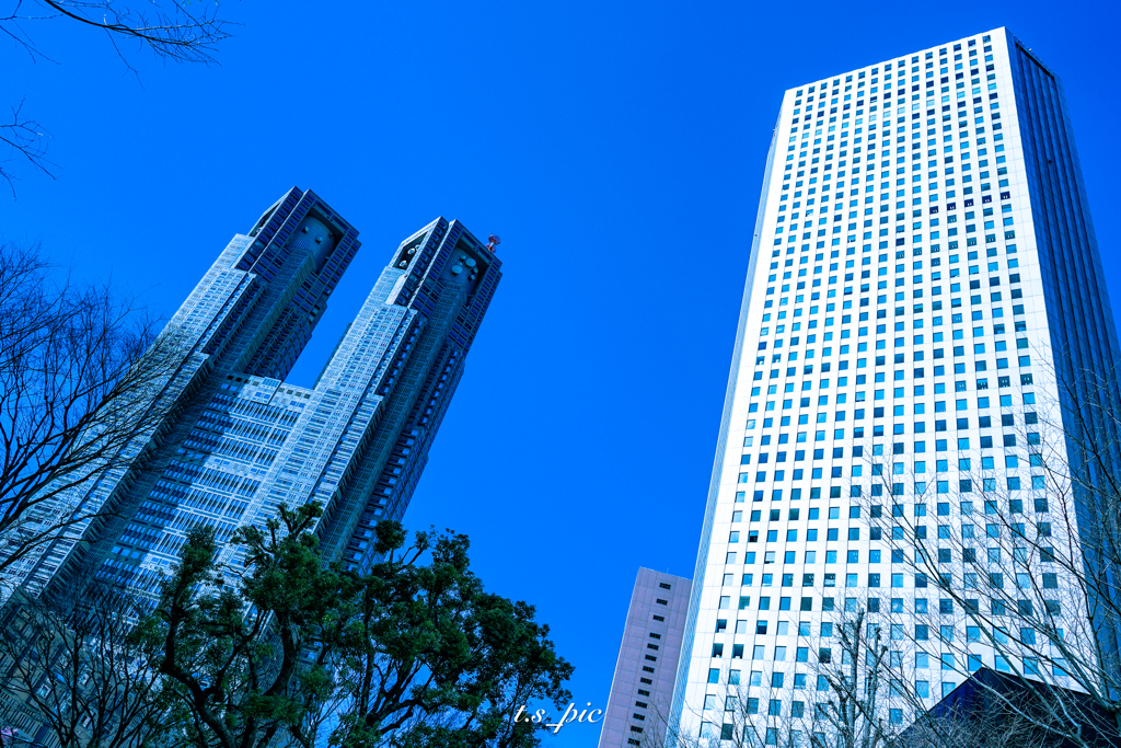 新宿住友ビルと東京都庁
