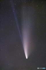 7月17日のネオワイズ彗星