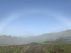 白い虹と田んぼ道