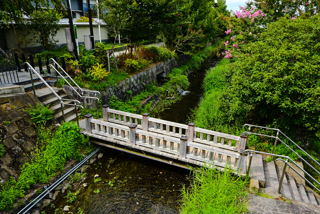 京都の名もなき川