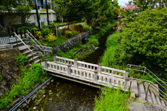 京都の名もなき川