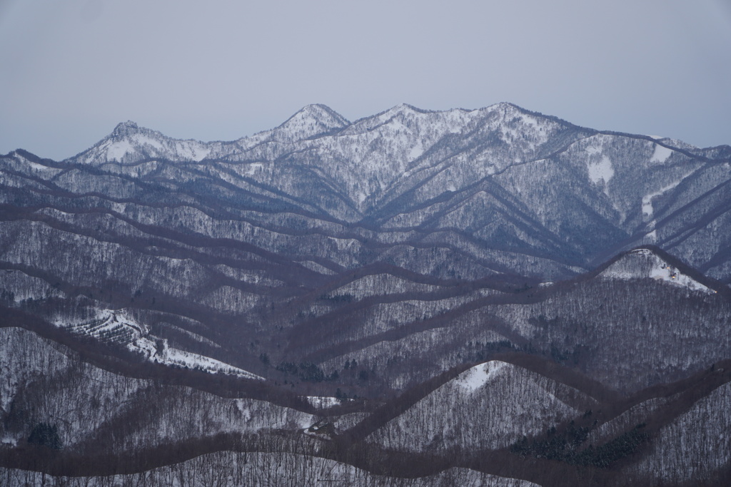 寒さ厳しく