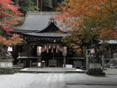 等彌神社の紅葉