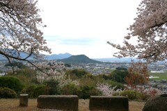 奈良　明日香村　甘樫丘公園展望台より畝傍山・二上山を望む