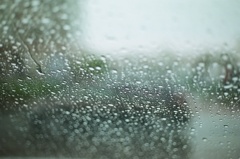 雨