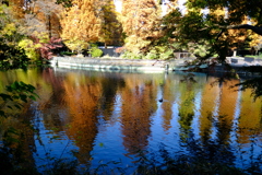 DSCF8651
