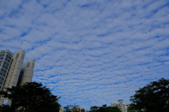 うろこ雲