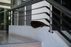 狭いところすき