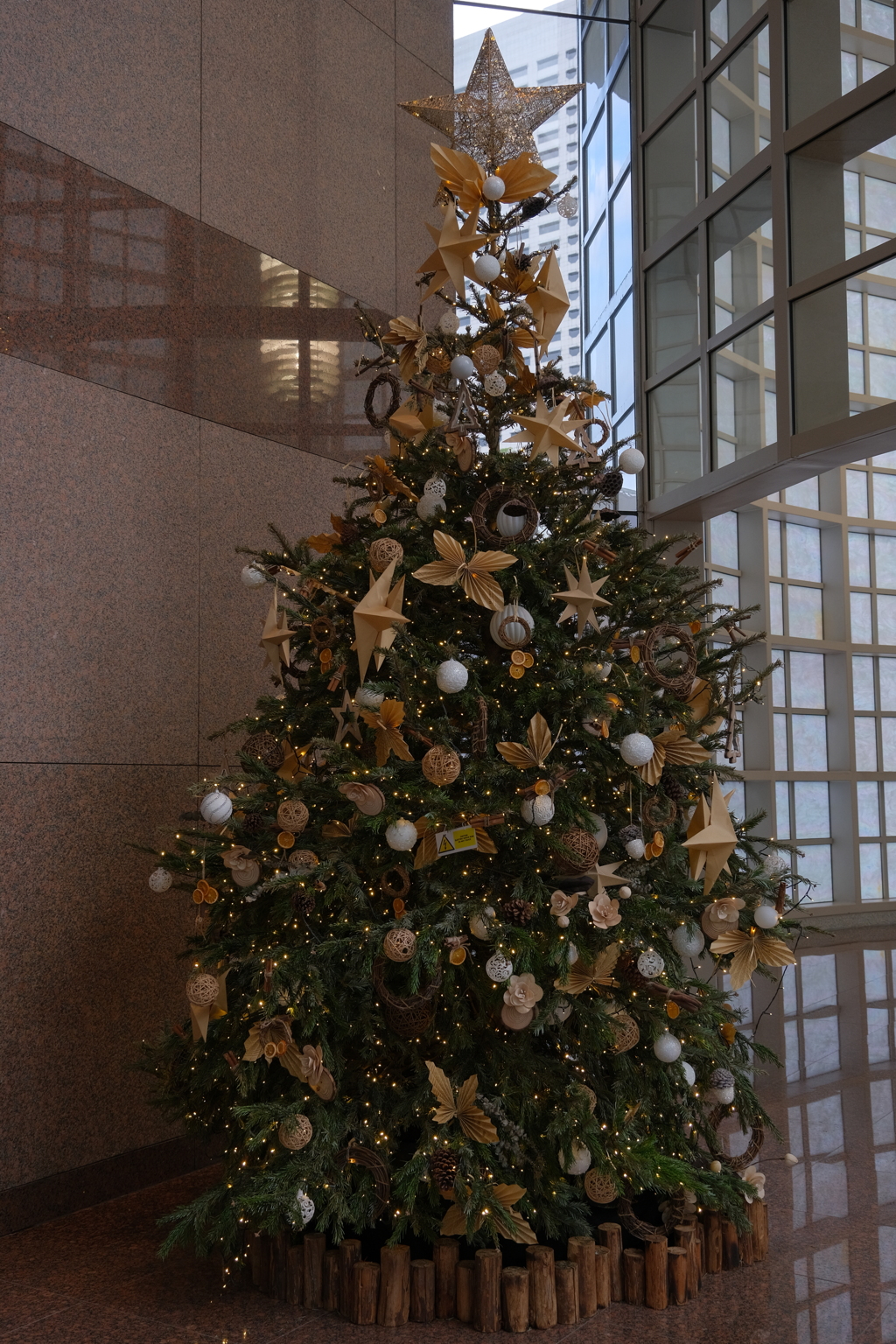 今日のクリスマスツリー①