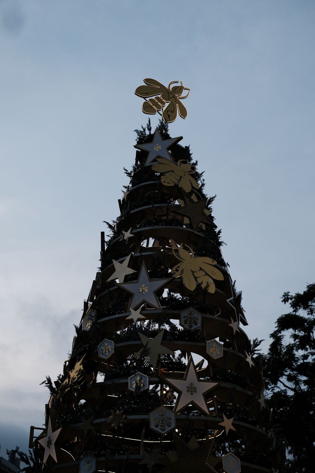 クリスマスツリーその１