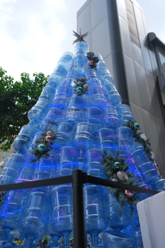 今日みたクリスマスツリー①