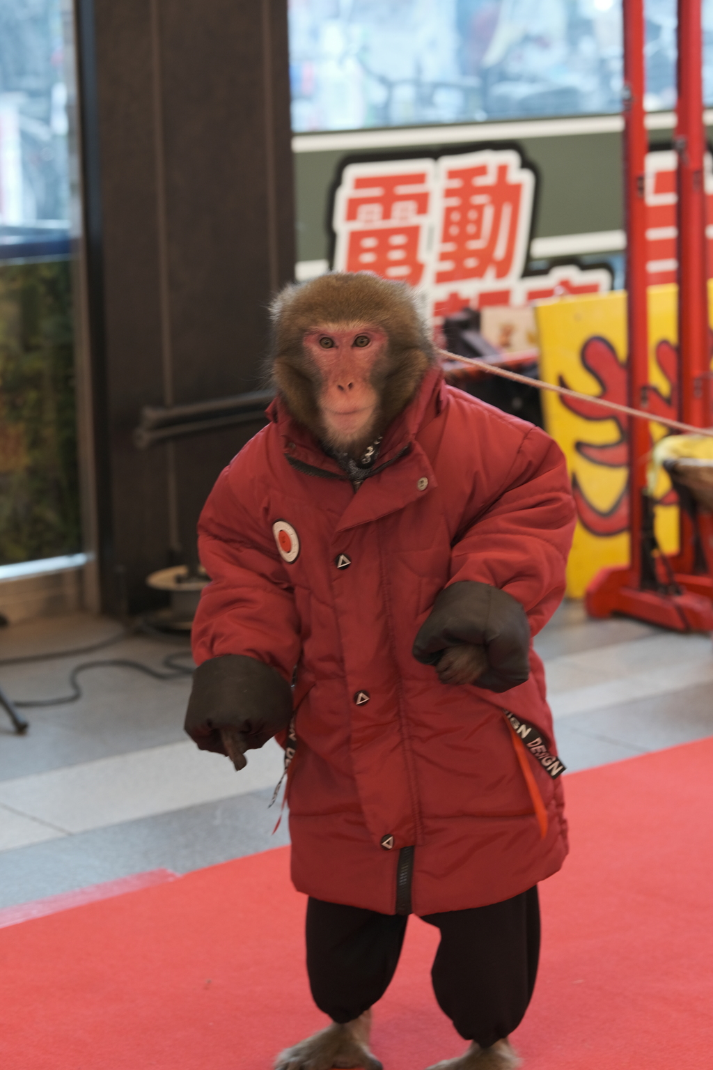 おさるも寒い